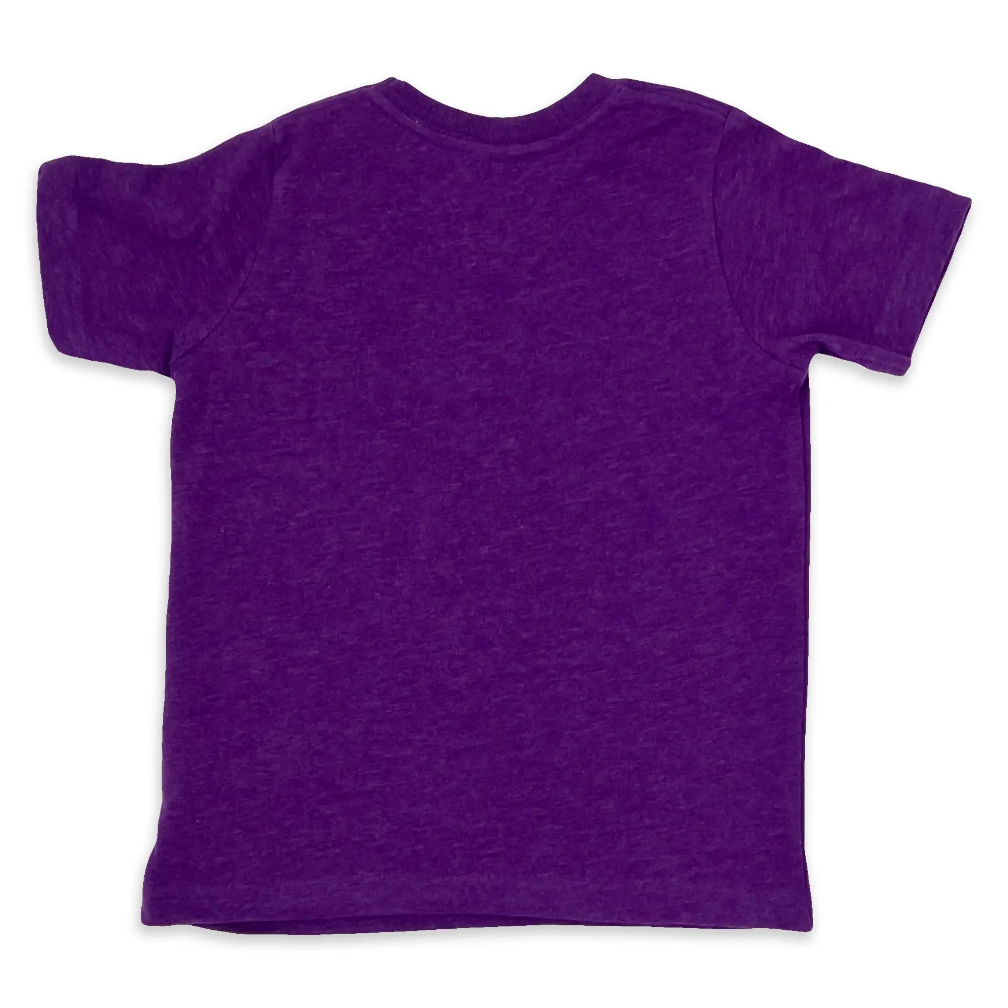 Plain back of a Vintage Purple toddler Mardi Gras shirt.