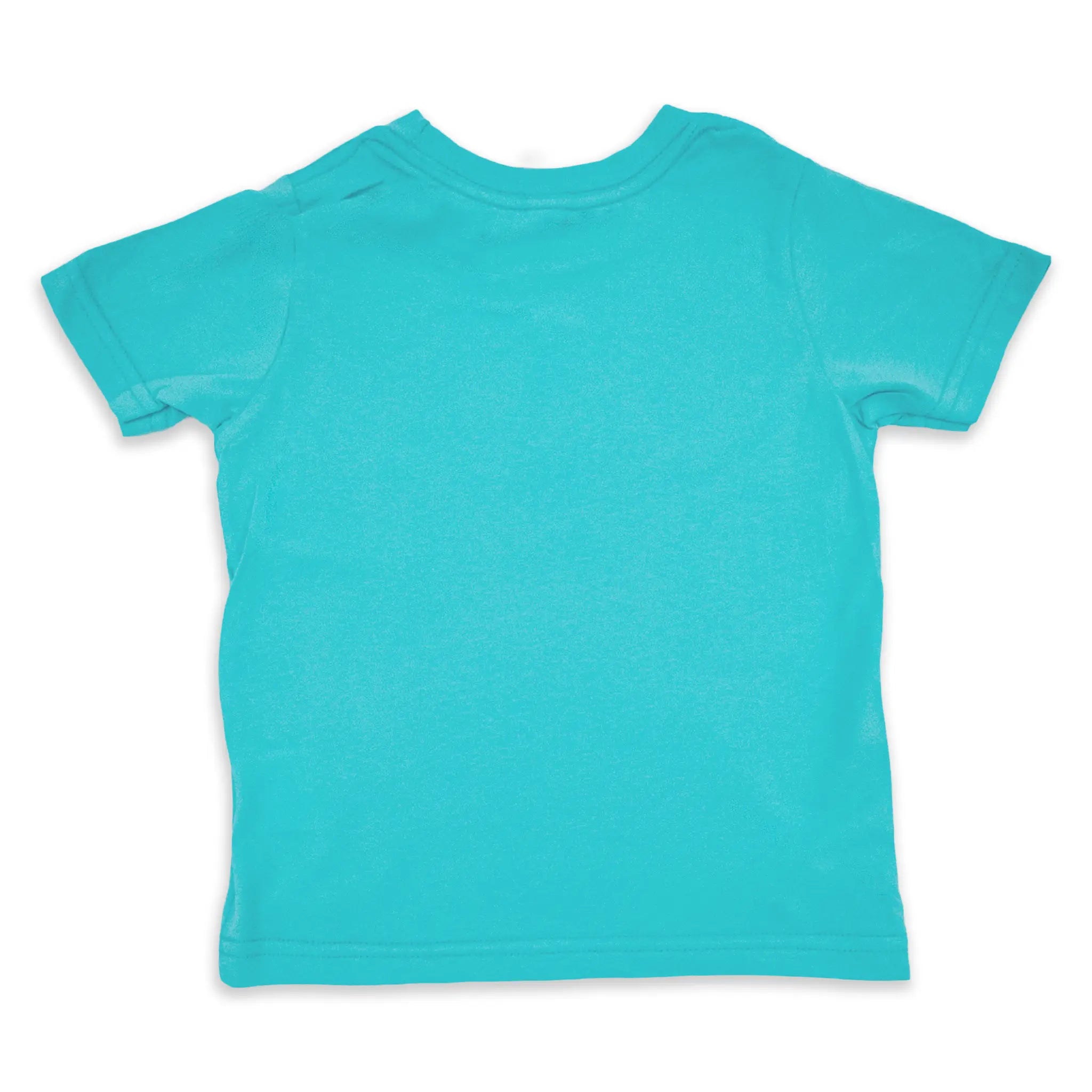 The back of a turquoise short sleeve toddler t-shirt on a white background