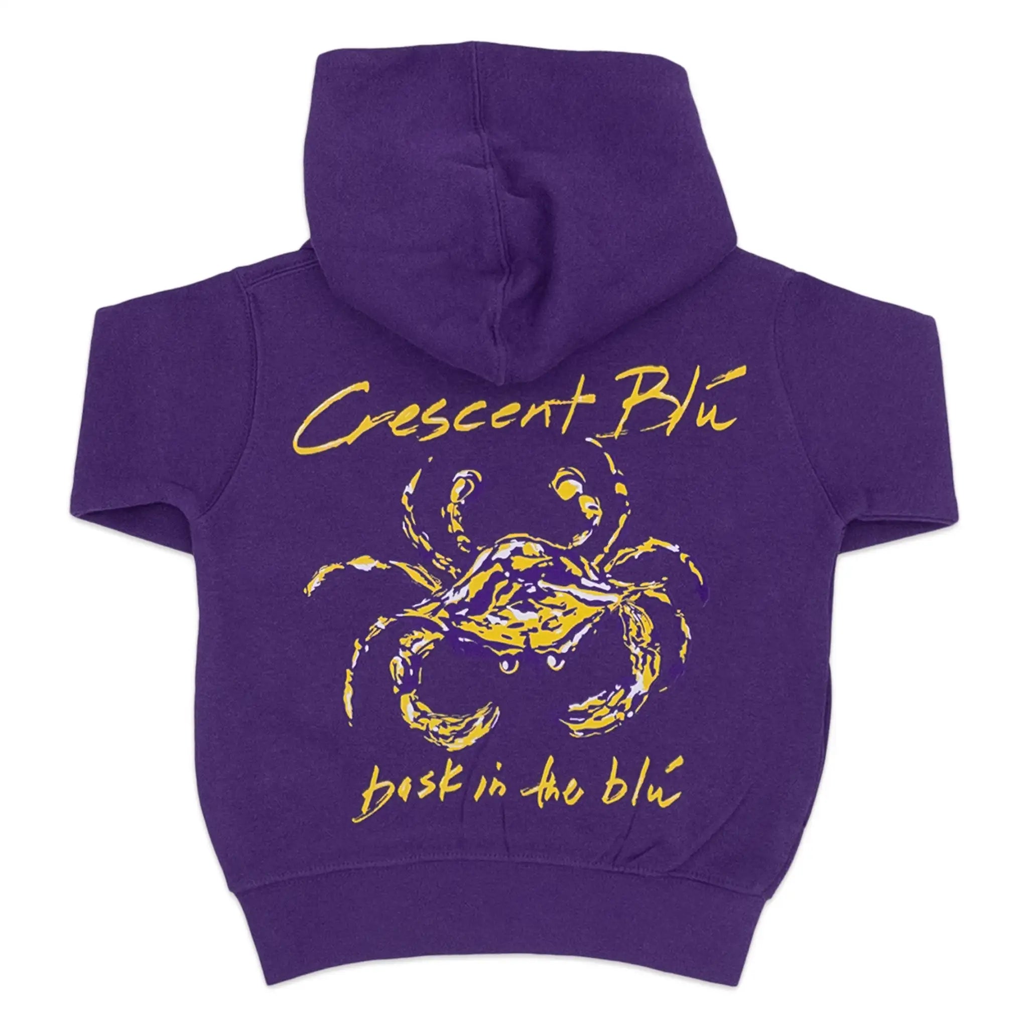The back of a purple and gold toddler sweatshirt with a hood.