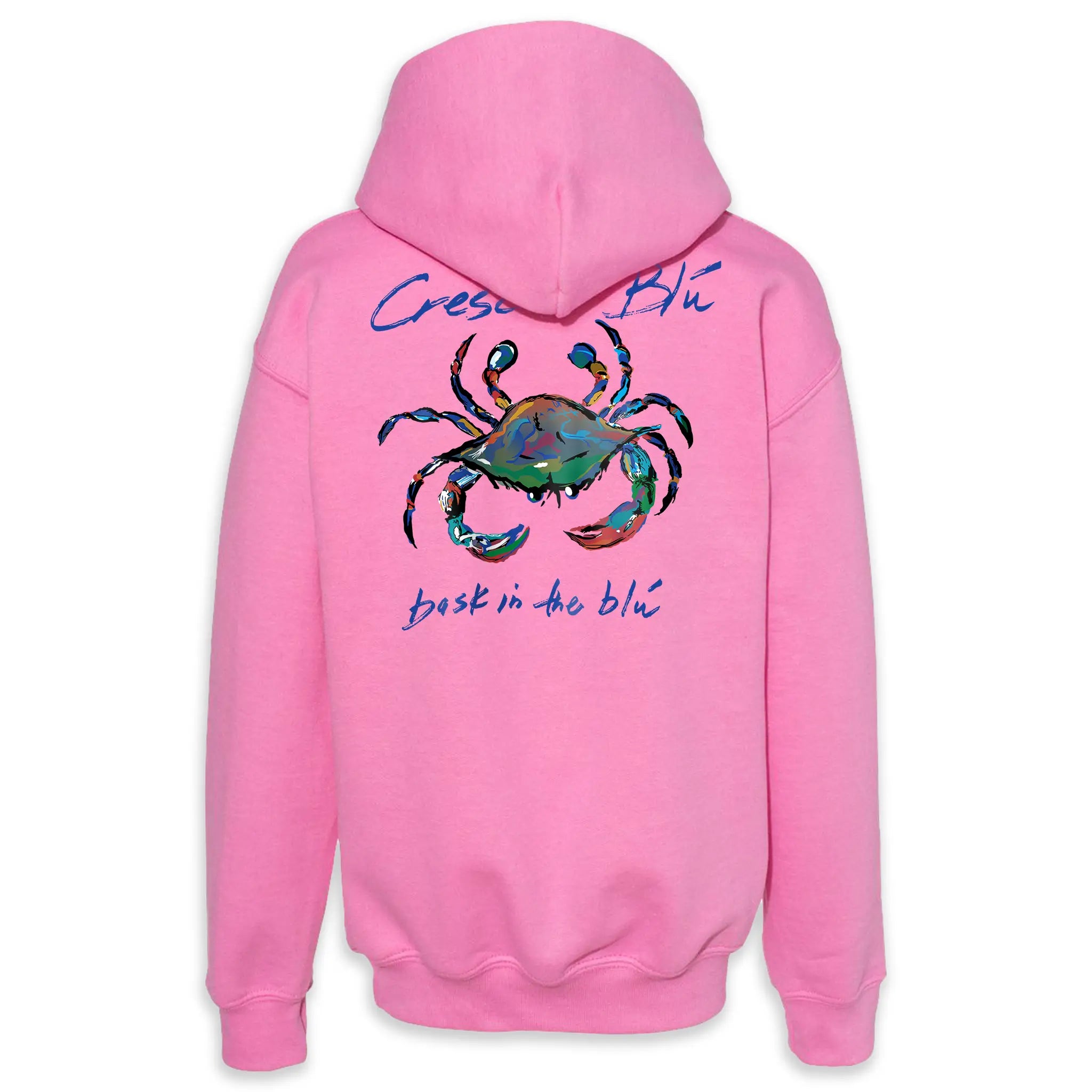View of Back of Youth Hooded Sweatshirt with large multi-colored Signature Crab logo printed on the back.