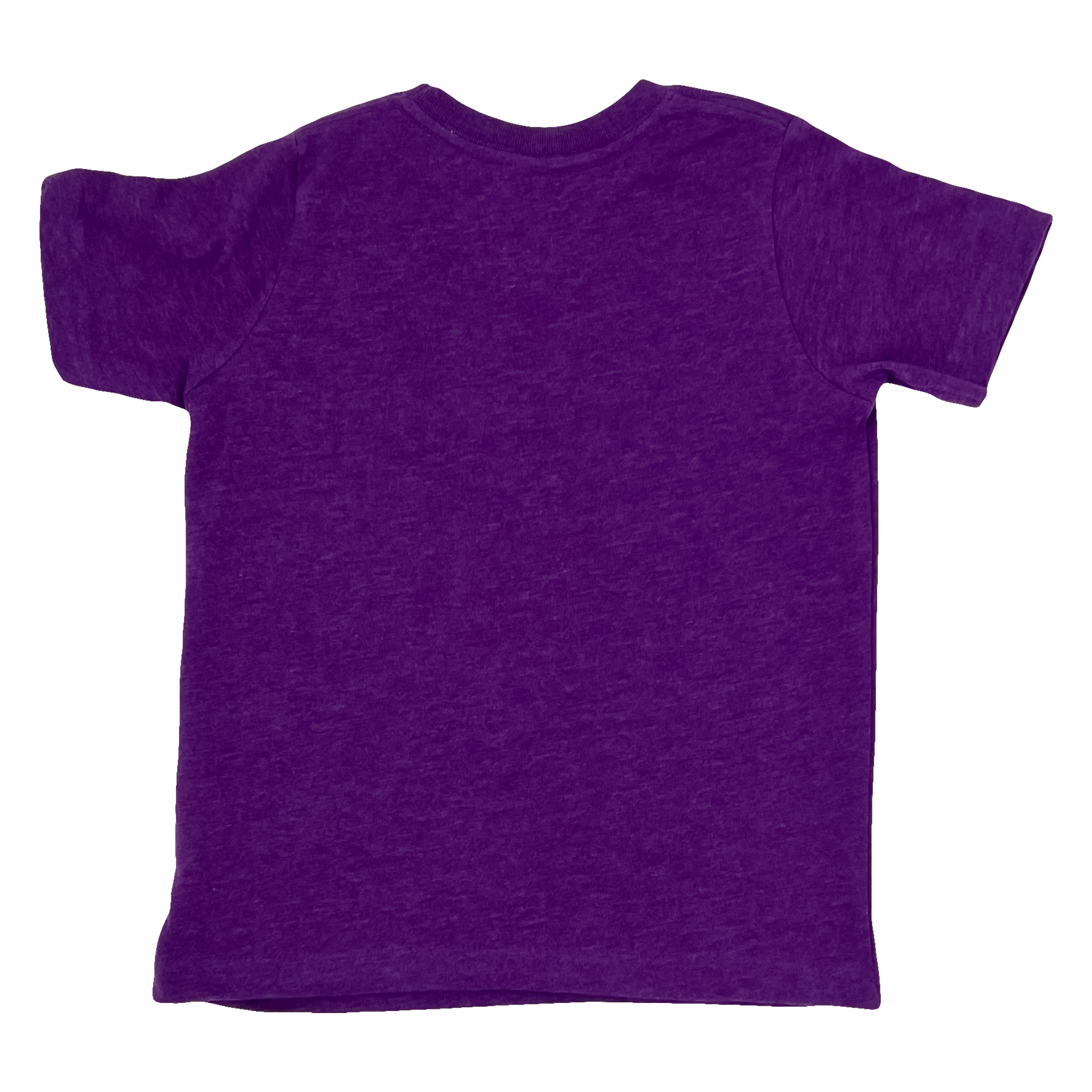 Back of the vintage heather  purple toddler shirt.